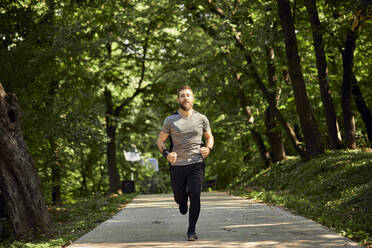 Sportlicher Mann läuft auf Waldweg - ZEDF02630