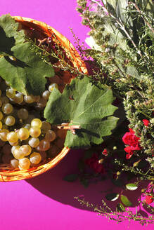 Nahaufnahme von jungen Weintrauben in einer Schale - JTF01374