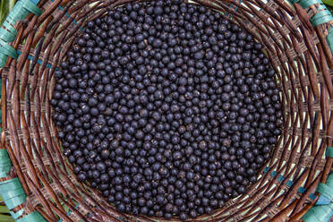 Acai Beeren - CAVF64724