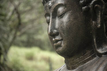 Buddha-Statue in einem Garten - CAVF64734