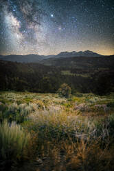 Stars over Carson-Iceberg Wilderness - CAVF64803