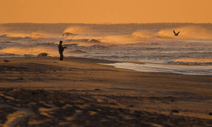 Portsmouth Island, Outer Banks, North Carolina - CAVF64806