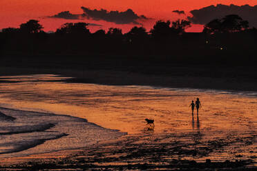 Silhouetted couple with dog walk on beach at Biddeford Pool at sunset - CAVF64809