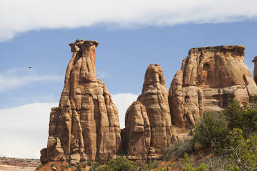 Sandstone towers in Monument Canyon, Colorado National Monument - CAVF64819