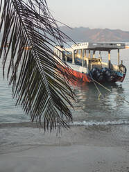 Indonesia, Bali, Gili Islands, Gili Air, Moored boat seen through palm leaf from beach  - KNTF03646