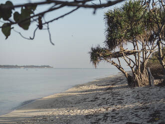 Indonesia, Bali, Gili Islands, Gili Air, Trees growing on empty seashore seen on sunny day - KNTF03647