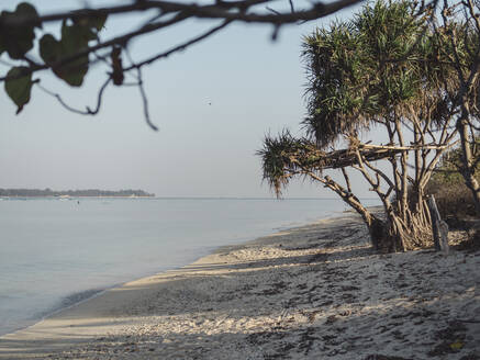 Indonesien, Bali, Gili-Inseln, Gili Air, Bäume wachsen am leeren Meeresufer an einem sonnigen Tag - KNTF03647