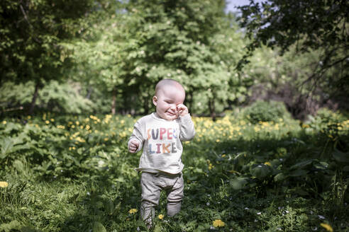 Porträt eines süßen kleinen Jungen im Park - EYAF00559
