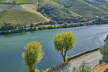 Portugal, Douro, Douro Valley, High angle view of river flowing in wine region - MRF02124