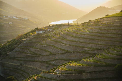 Portugal, Douro Valley, terraced vineyard overlooking Douro river stock photo