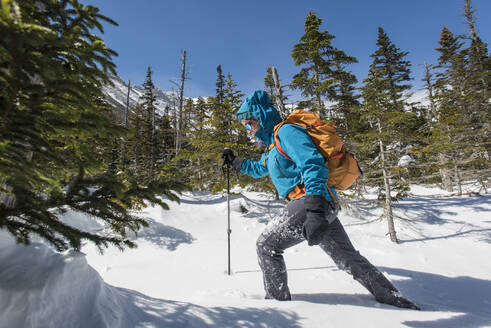 Eine junge Frau wandert an einem sonnigen, verschneiten Wintertag in den White Mountains von New Hampshire. - CAVF65050