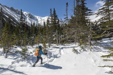 A young woman hiking on a sunny, snowy winter day in the White Mountains of New Hampshire. - CAVF65063