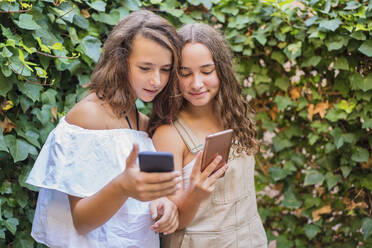 Young girls using smartphone on ivy background - DLTSF00241