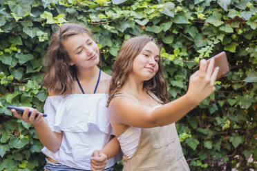 Young girls taking a selfie on ivy background - DLTSF00243