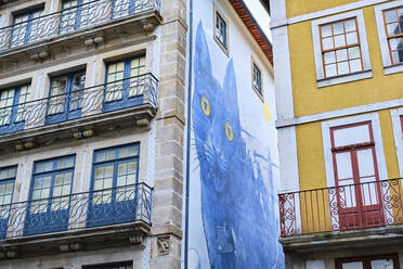 Portugal, Porto, Fototapete mit Katze an der Wand eines Stadthauses von unten gesehen - MRF02209