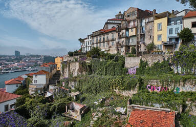 Portugal, Porto, Ribeira, Bunte Stadthäuser auf dem Hügel im Sommer gesehen - MRF02226