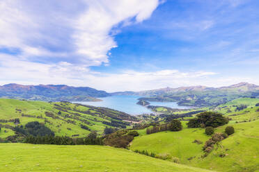 Neuseeland, Südinsel, Akaroa, Blick auf die Küste - SMAF01530
