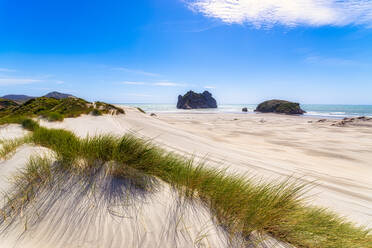 Neuseeland, Südinsel, Blick auf den Strand von Wharariki - SMAF01539