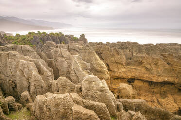 New Zealand, South Island, Punakaiki, Pancake Rocks and Blowholes Walk in Paparoa National Park - SMAF01592