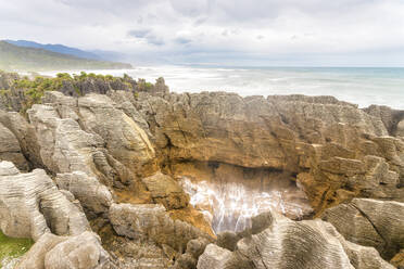 New Zealand, South Island, Punakaiki, Pancake Rocks and Blowholes Walk in Paparoa National Park - SMAF01594