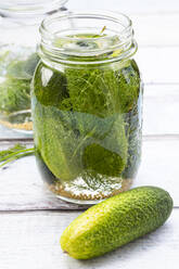 Pickled dill pickles with mustard seeds - LVF08323