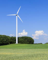 Windkraftanlage auf dem Feld - JOHF02383