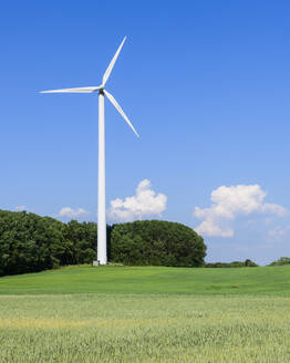 Windkraftanlage auf dem Feld - JOHF02383