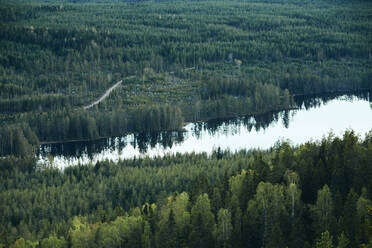 Lake in forest - JOHF02412