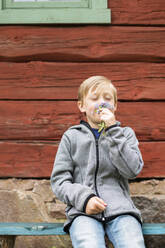 Boy smelling flower - JOHF02468