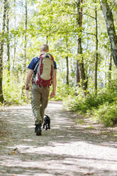 Mann mit Hund geht durch den Wald - JOHF02475