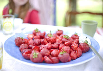 Erdbeeren auf dem Teller - JOHF02496