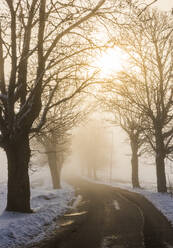 Country road in fog - JOHF02505