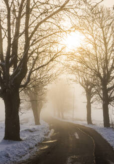 Landstraße im Nebel - JOHF02505