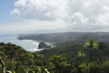 View of coast - JOHF02572