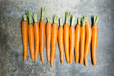 Row of carrots - STBF00448