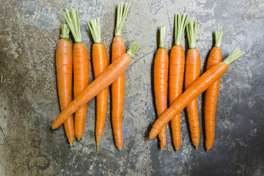 Counting carrots - STBF00449