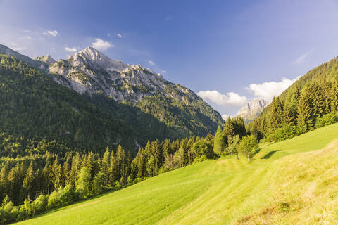 Österreich, Kärnten, Blick auf den Gailtaler Polinik und das bewaldete Tal im Sommer, lizenzfreies Stockfoto