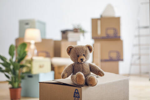 Teddybär auf Karton in einem leeren Zimmer in einem neuen Zuhause, lizenzfreies Stockfoto