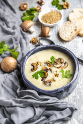 Bowl of German spelt soup with mushrooms, walnuts and parsley - SARF04378