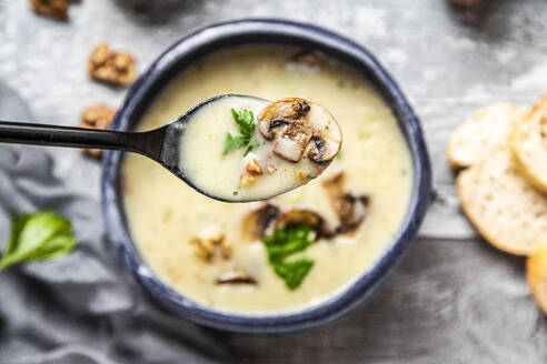 Löffel deutsche Dinkelsuppe mit Champignons, Walnüssen und Petersilie - SARF04380