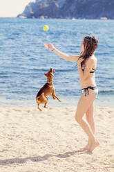 Mädchen spielt mit Hund am Strand - XCF00283