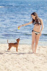 Mädchen spielt mit Hund am Strand - XCF00287