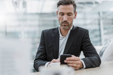 Businessman using cell phone in a cafe - DIGF08471