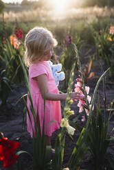 Mädchen auf Gladiolenfeld - JOHF02634