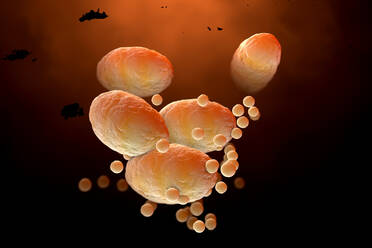Three dimensional render of fat cells clogging together in human body - SPCF00473