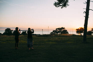 Women photographing sunset at sea - JOHF03005