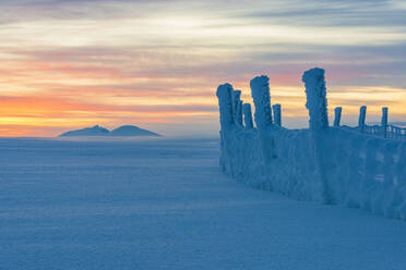 Wooden fence at winter - JOHF03061