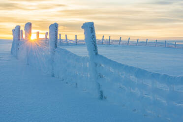 Wooden fence at winter - JOHF03062