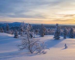 Winter landscape - JOHF03078