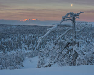 Winterlandschaft - JOHF03080